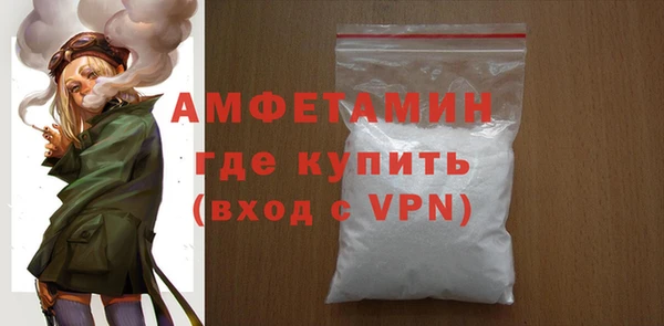 крисы Няндома