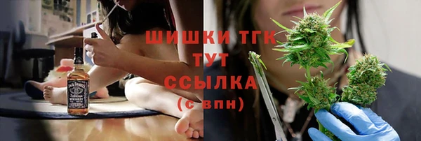 крисы Няндома