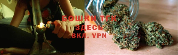 крисы Няндома