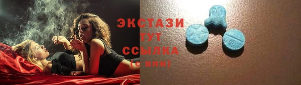 крисы Няндома