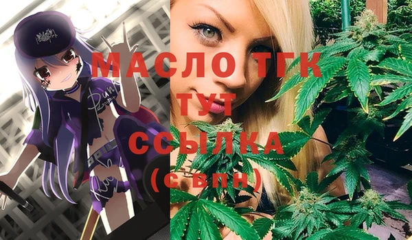 крисы Няндома