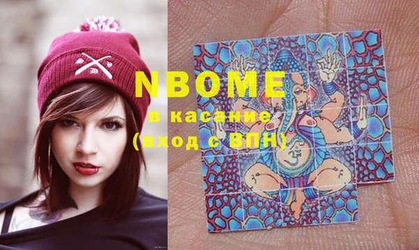 крисы Няндома