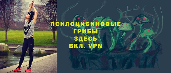 а пвп мука Нягань