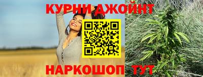 mdpv Рыбинск