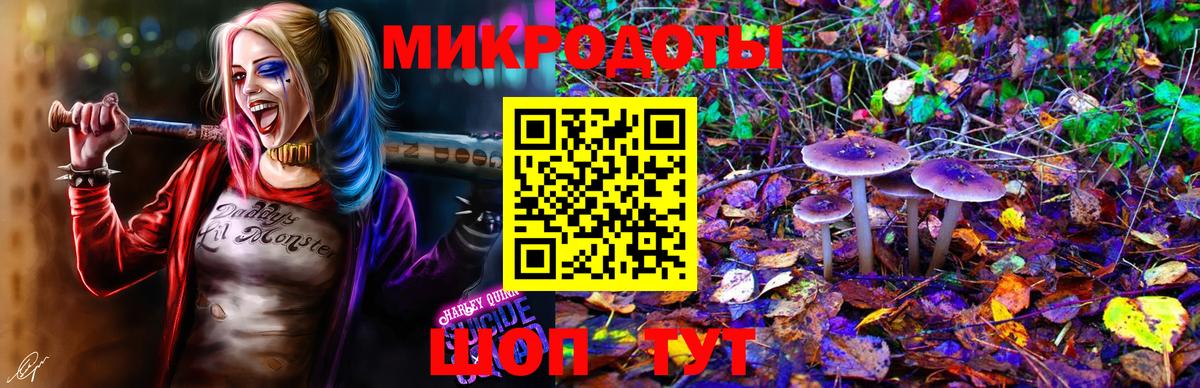 Псилоцибиновые грибы Psilocybine cubensis Энгельс