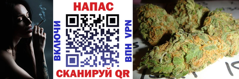 Марихуана семена где продают ОМГ ОМГ ТОР Энгельс